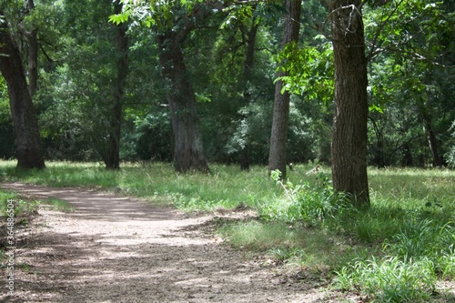 Brazos Bend State Park
