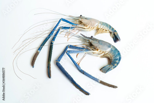 Top-down a two Prawn or tiger shrimp isolated on white background  River shrimp or prawn raw on white background  The giant tiger prawn on the background.