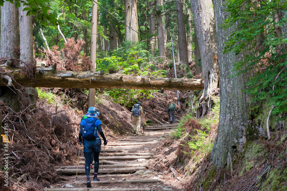 Approach to Atago Shrine on Mt. Atago in Kyoto, Japan. Atago Shrine is