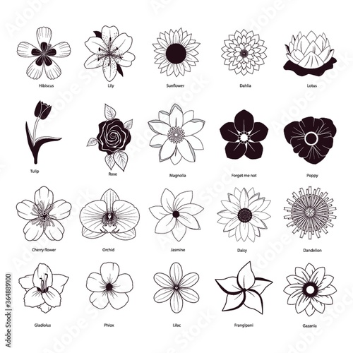 collection of different flowers