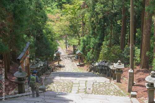 Εκτύπωση καμβά Approach to Atago Shrine on Mt