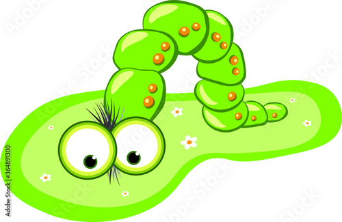 funny caterpillar walking watching on walkway flowers grasses green big eyes and hairs