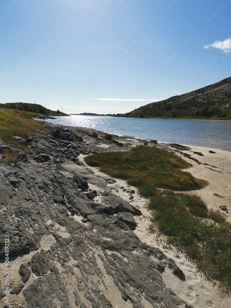 Torghatten Camping Resting Area Beautiful Nature and Flowers Brønnøysund Northern Norway