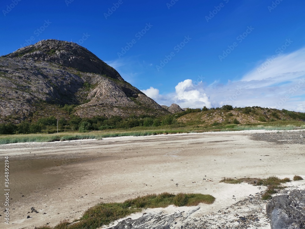 Torghatten Camping Resting Area Beautiful Nature and Flowers Brønnøysund Northern Norway