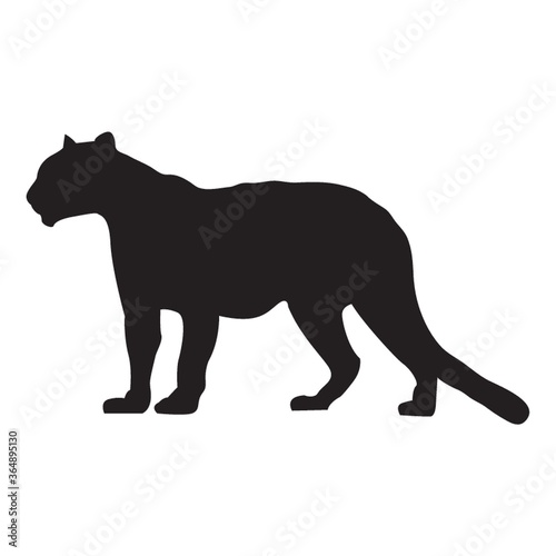 silhouette of standing tiger