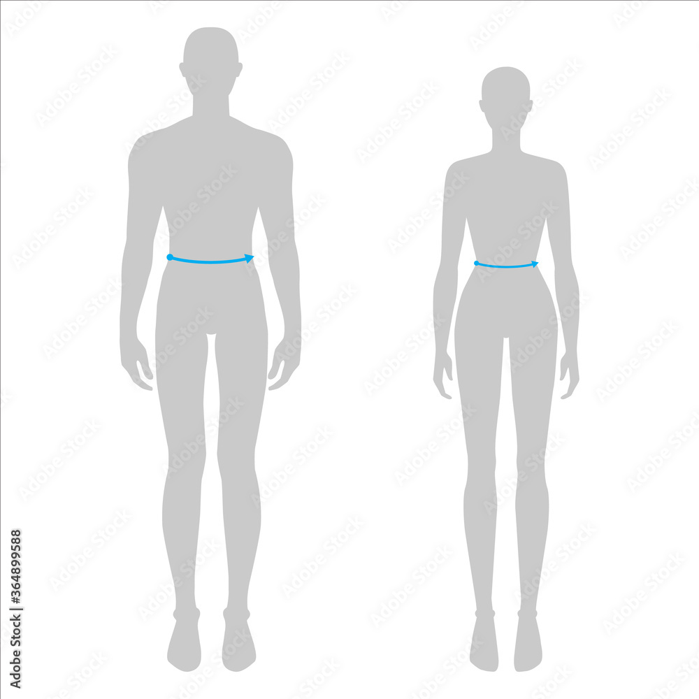 Women and men to do waist measurement fashion Illustration for size chart. 7.5 head size girl and boy for site or online shop. Human body infographic template for clothes. Women and men to do waist measurement fashion Illustration for size chart. 7.5 head size girl and boy for site or online shop. Human body infographic template for clothes.