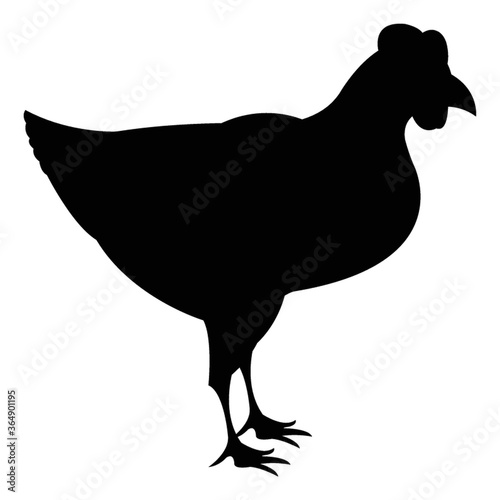 silhouette of hen