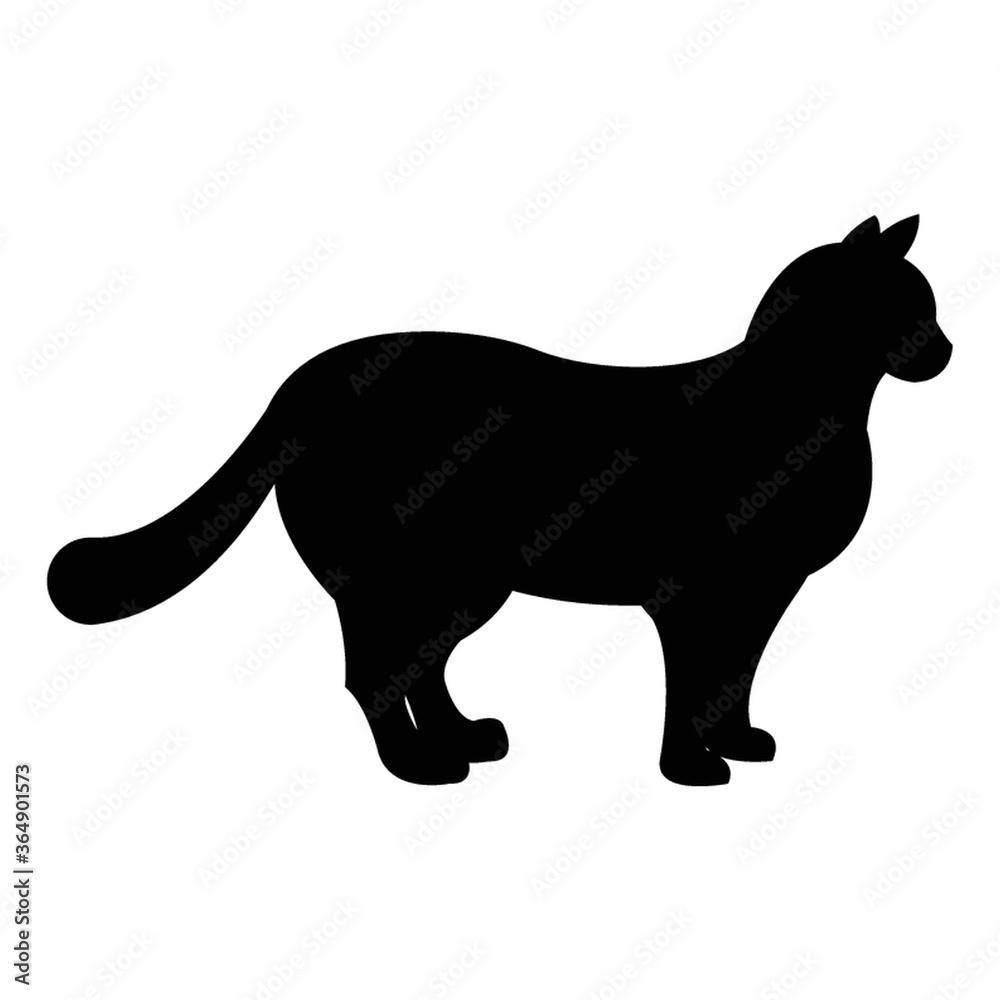 silhouette of cat