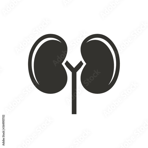 Quadro su tela kidneys