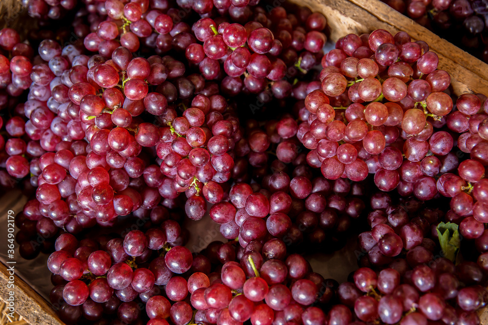 Thailand, Agriculture, Alcohol - Drink, Autumn, Business Thailand, Agriculture, Alcohol - Drink, Autumn, Business
