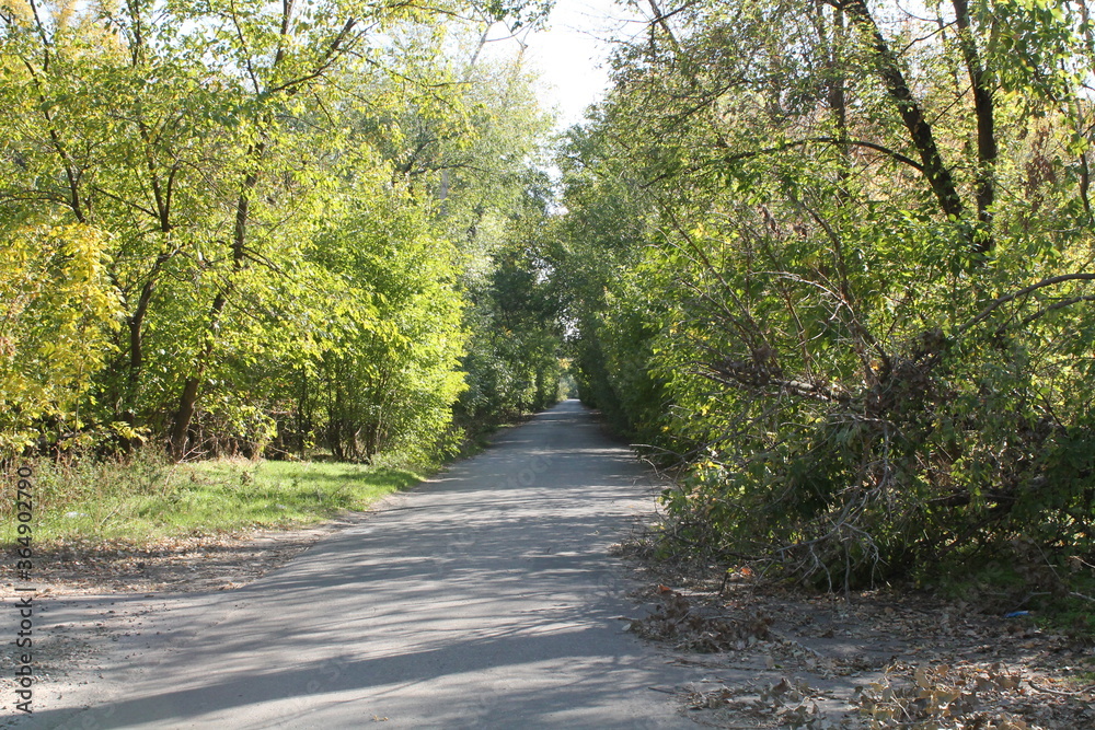 Fototapeta premium Trees and roads on Green Island