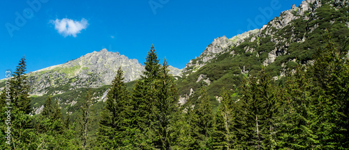 Emerging rocky peaks from a coniferous forest