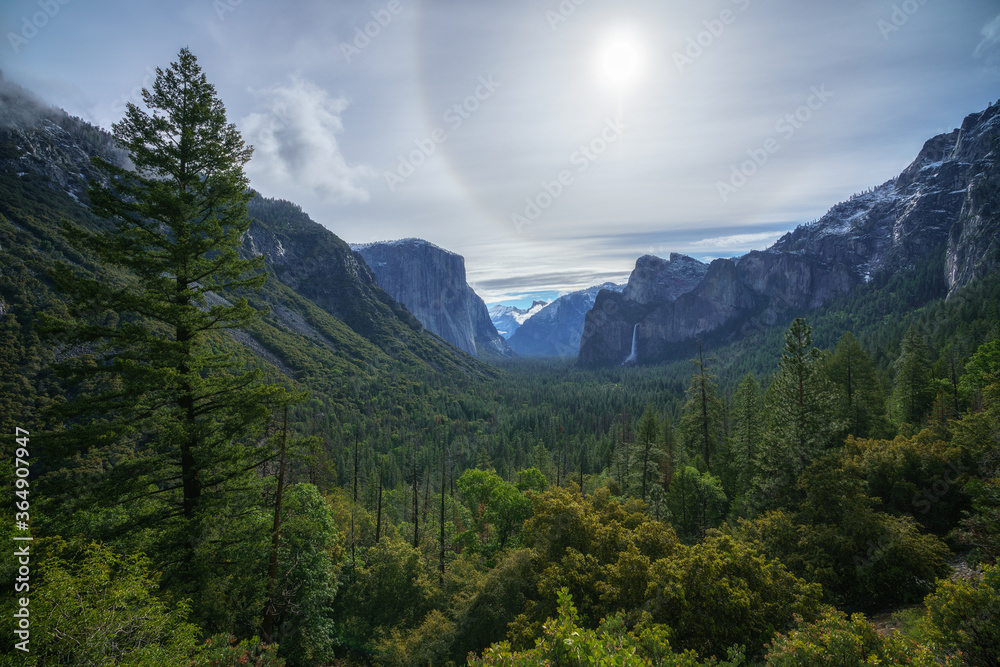 Fototapeta premium tunnel view in yosemite nationalpark, california, usa