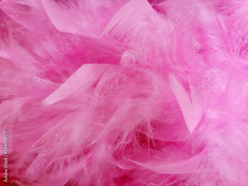 background of rose-colored feathers. closeup  selective focus  noisy filter  blurred background