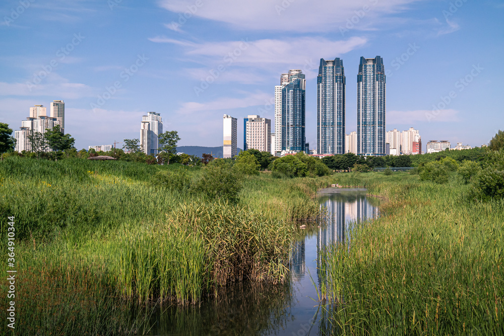 Beautiful nature and urban building in Ulsan City, South Korea