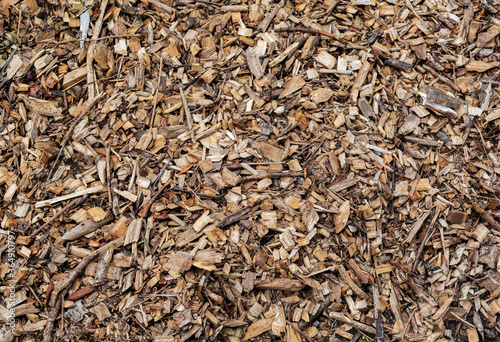 brown wood filings, dry wood texture