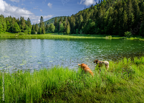 Le Lac Genin photo