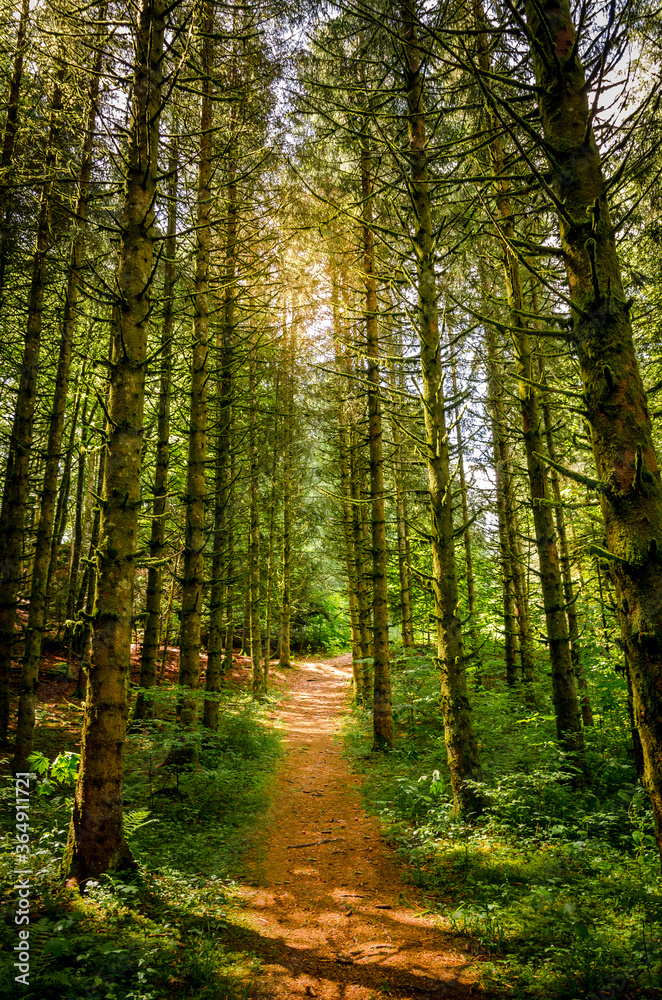 Obraz premium Autour du lac Genin