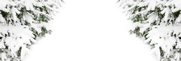 Green fir branches covered by snow on white background isolated closeup, winter pine tree corner border, snowy spruce frame, new year festive banner template, christmas holiday design, text copy space