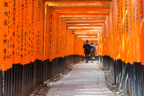 Red Torii Gate at Fushimi Inari taisha Shrine in Fushimi, Kyoto, Japan. Fushimi Inari Taisha is Kyoto's most important Shinto shrine and one of its most impressive attractions