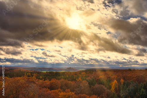 Herbstlicher Wald in den letzten Sonnenstrahlen des Tages