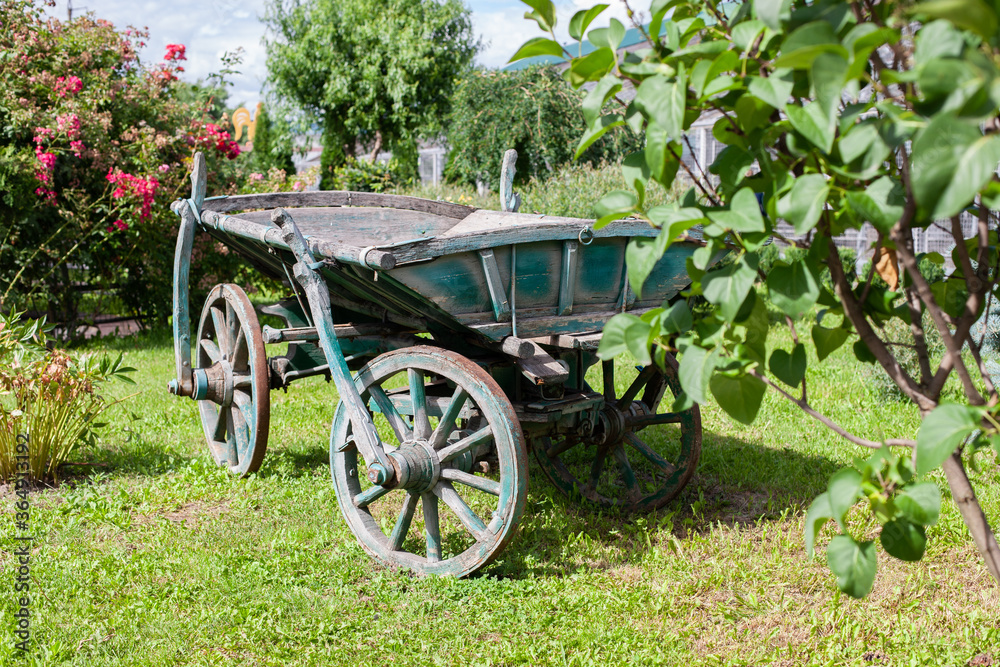 Fototapeta premium wagoon