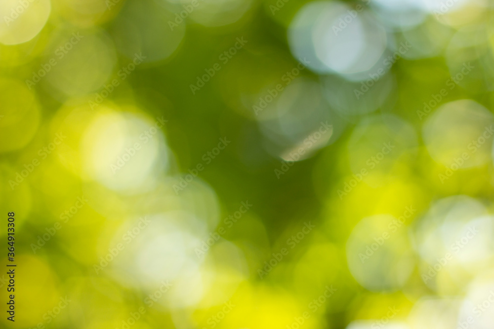 Obraz premium green bokeh background