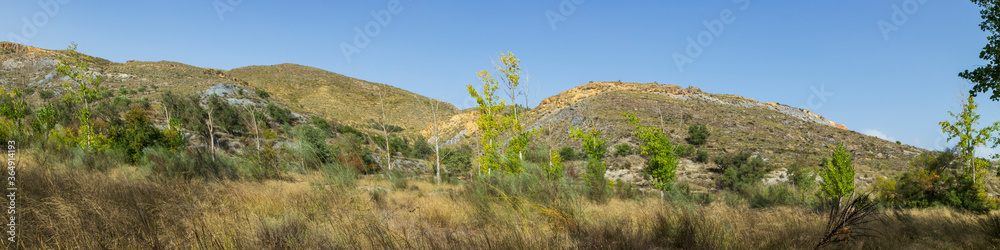 panoramic of a mountainous landscape with trees