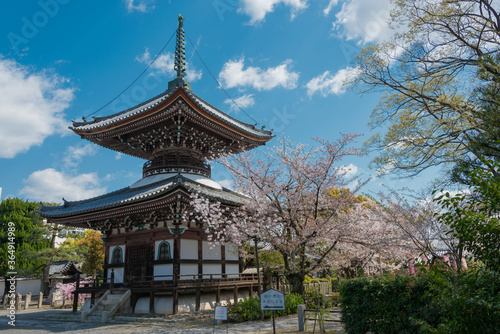 Honpo-ji  Temple in Kyoto, Japan. The Temple originally built in 1436. © beibaoke