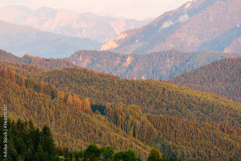 Obraz premium Wald und Berglandschaft vom Gahberg bei Weyregg am Attersee