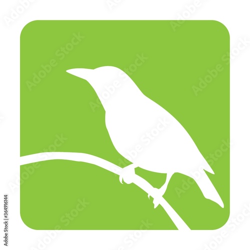 bird perched on branch
