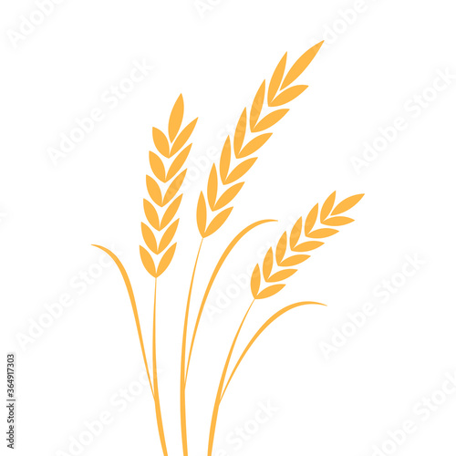 Rice symbol. Oat symbol vector. wallpaper. logo design.