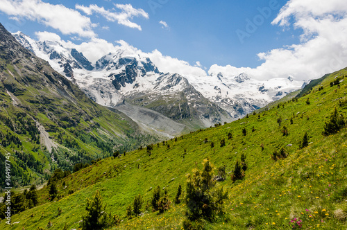 Piz Roseg, Val Roseg, Lej da Vadret, Piz Sella, Piz Glüschaint, Sellagletscher, Wanderweg, Bergwiese, Berninagruppe, Oberengadin, Corvatsch, Murtèl, Alpen, Sommer, Graubünden, Schweiz