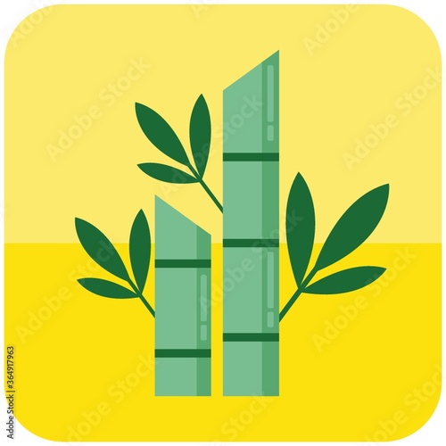 bamboo
