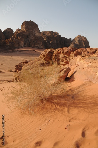 Beautiful wadi