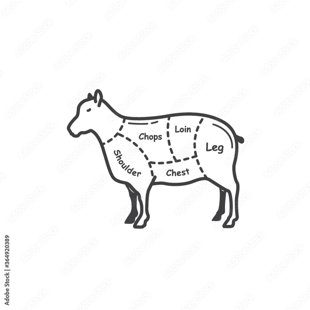 lamb butcher cut chart