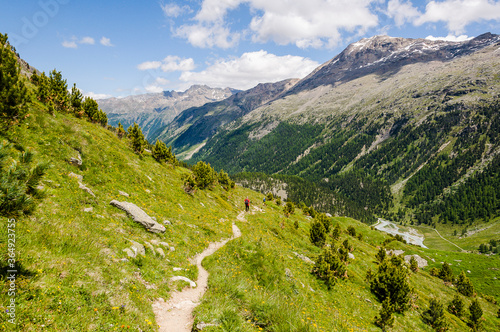 Val Roseg, Ova da Roseg, Rosegbach, Rosegtal,  Hochtal, Wanderweg, Wanderer, Alpenrose, Berninagruppe, Sellagruppe, Oberengadin, Murtèl, Corvatsch, Fuorcla Surlej, Alpen, Sommer, Graubünden, Schweiz photo