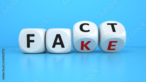 Fake Fact Cubes photo