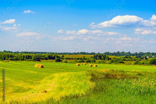 A field with mowed hay, swamped on a clear summer day in June. Moscow region. Russia.