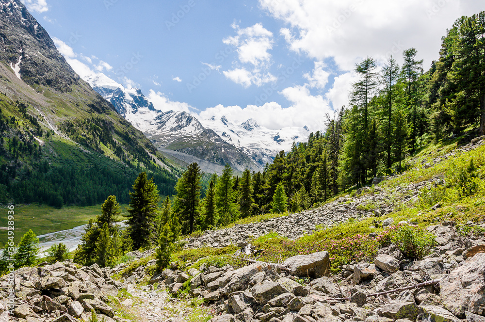 Obraz premium Val Roseg, Piz Roseg, Ova da Roseg, Rosegbach, Lej da Vadret, Piz Sella, Piz Glüschaint, Sellagletscher, Wanderweg, Berninagruppe, Oberengadin, Murtèl, Alpen, Sommer, Graubünden, Schweiz