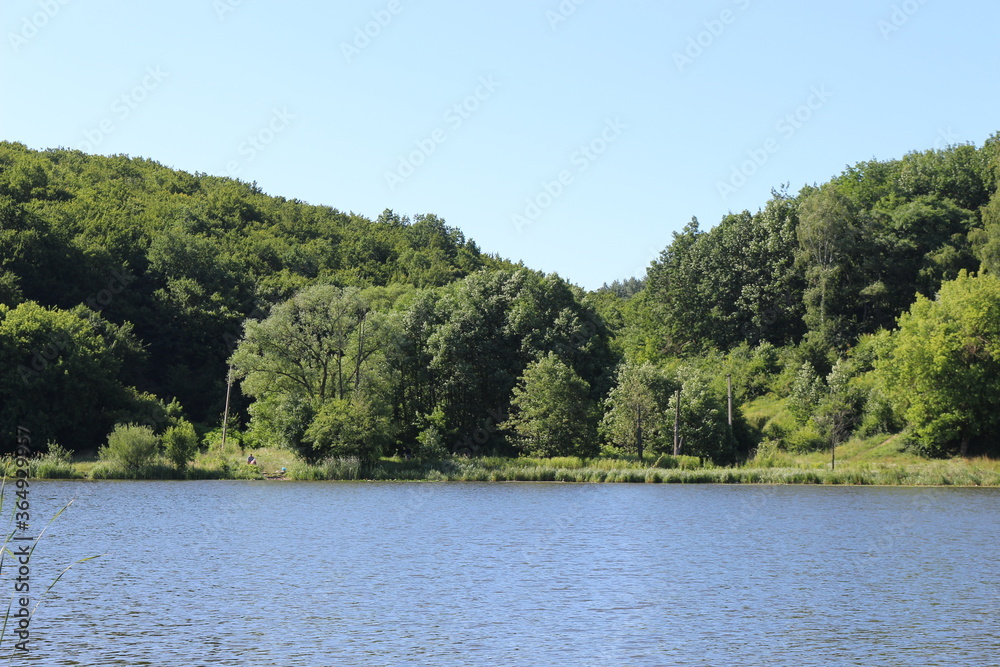 The green banks of the river are beautiful on a summer day
The green banks of the river are beautiful on a summer day