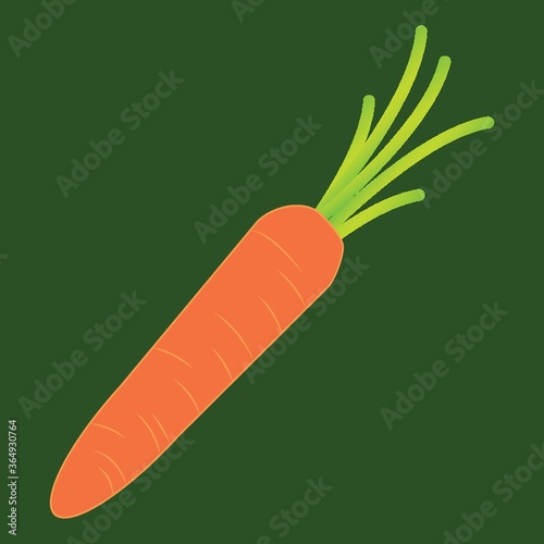 carrot
