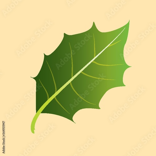 birch leaf
