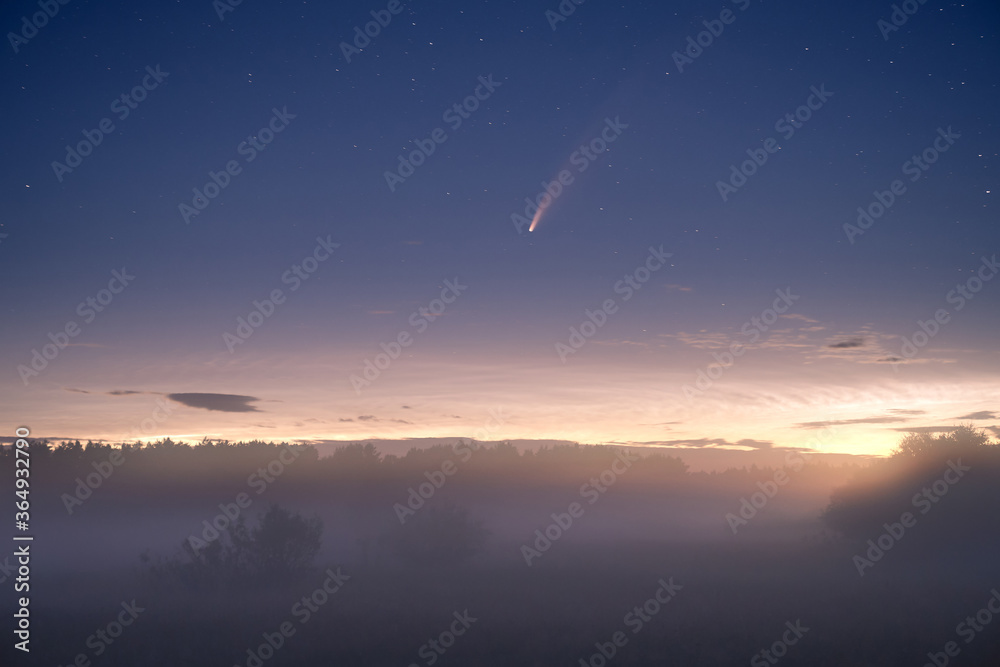 Comet in night landscape