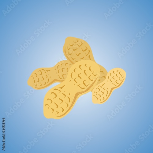 groundnut