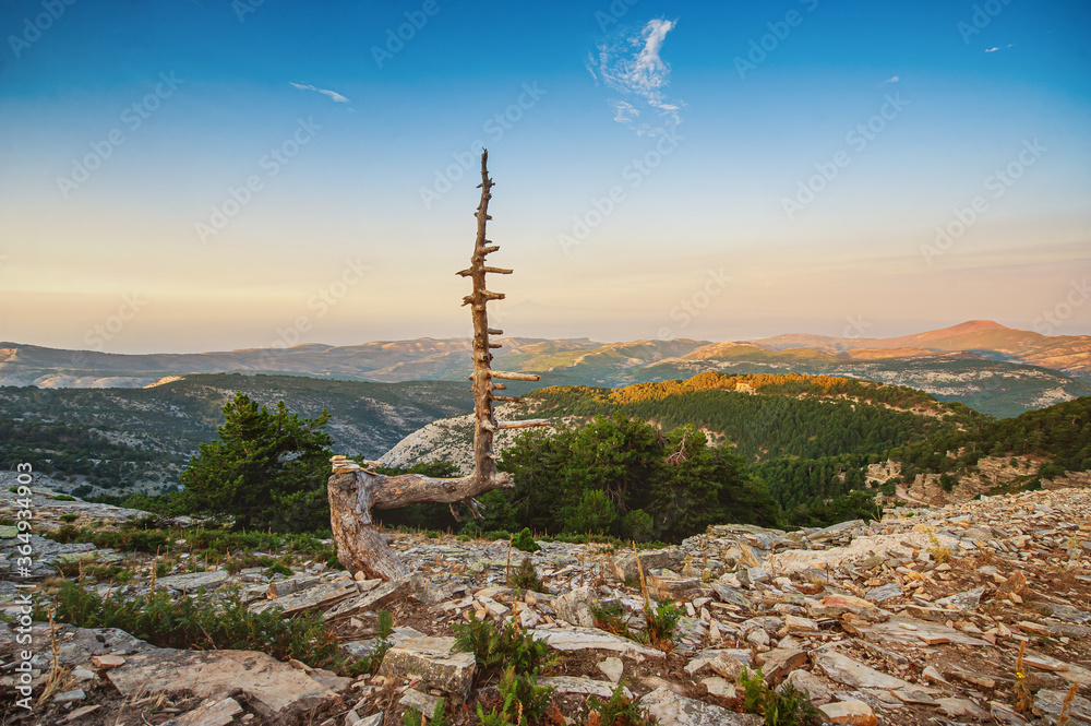 Obraz premium landscape thassos island greece