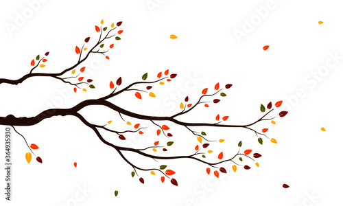 Fototapeta Naklejka Na Ścianę i Meble -  Tree and leaves Autumn background style.Can be used for your work.Welcome Autumn season concept.