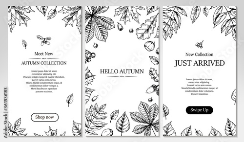 Set of vertical social network templates with hand drawn elements. Autumn design for banners, cards, announcements, newsletters in sketch style. Vector illustration. Space for text