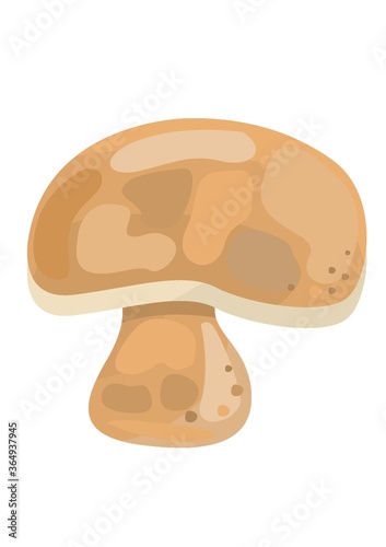 mushroom