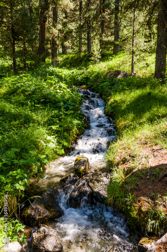 Val Roseg, Ova da Roseg, Rosegbach, Rosegtal, Wanderweg, Wald, Waldweg, Pferdekutsche, Kutschenfahrt, Berninagruppe, Oberengadin, Pontresina, Gletscher, Alpen, Sommer, Graubünden, Schweiz